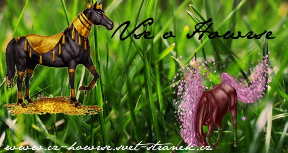 Osobn� str�nka